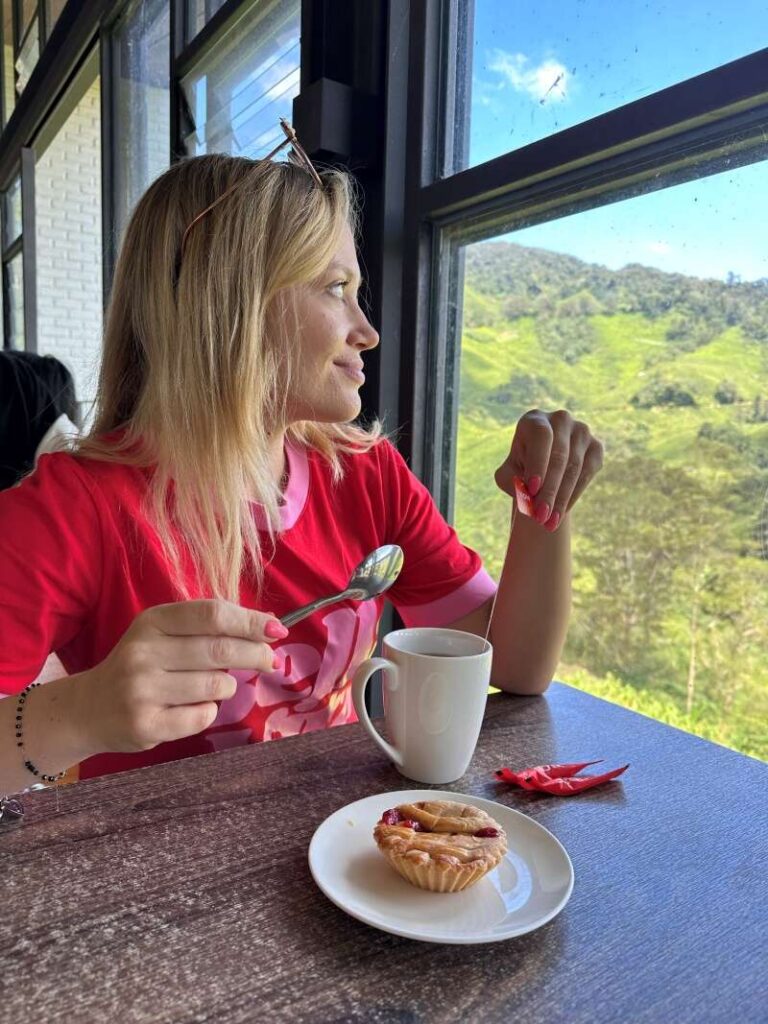 co zobaczyć w Cameron Highlands