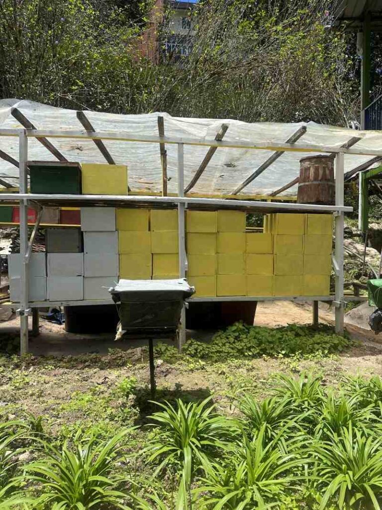 Bee Farm Cameron Highlands