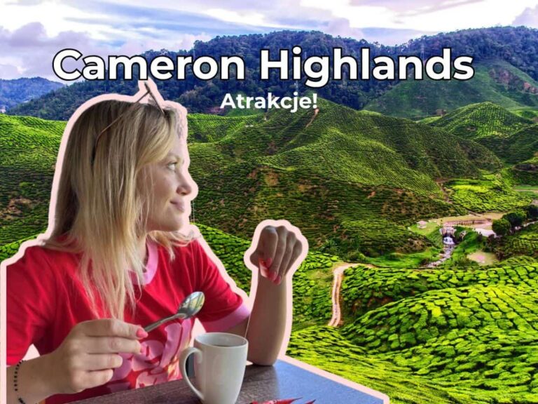 Cameron Highlands atrakcje