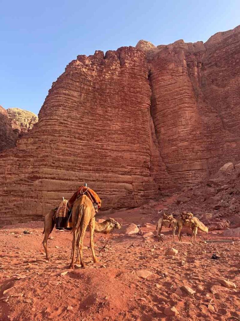 Wycieczka Jordania
