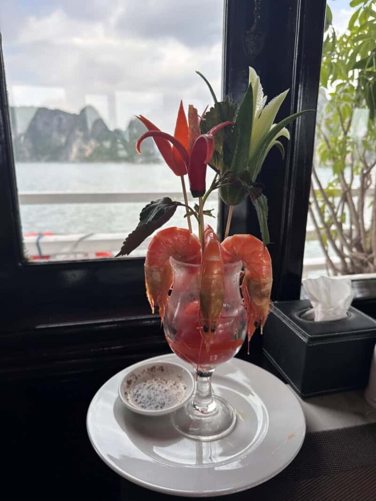 Ha Long Zatoka