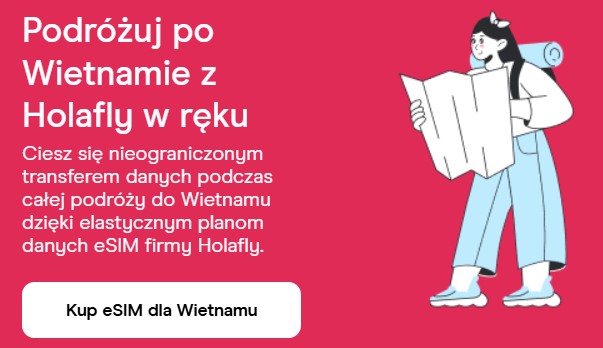 Internet w Wietnamie