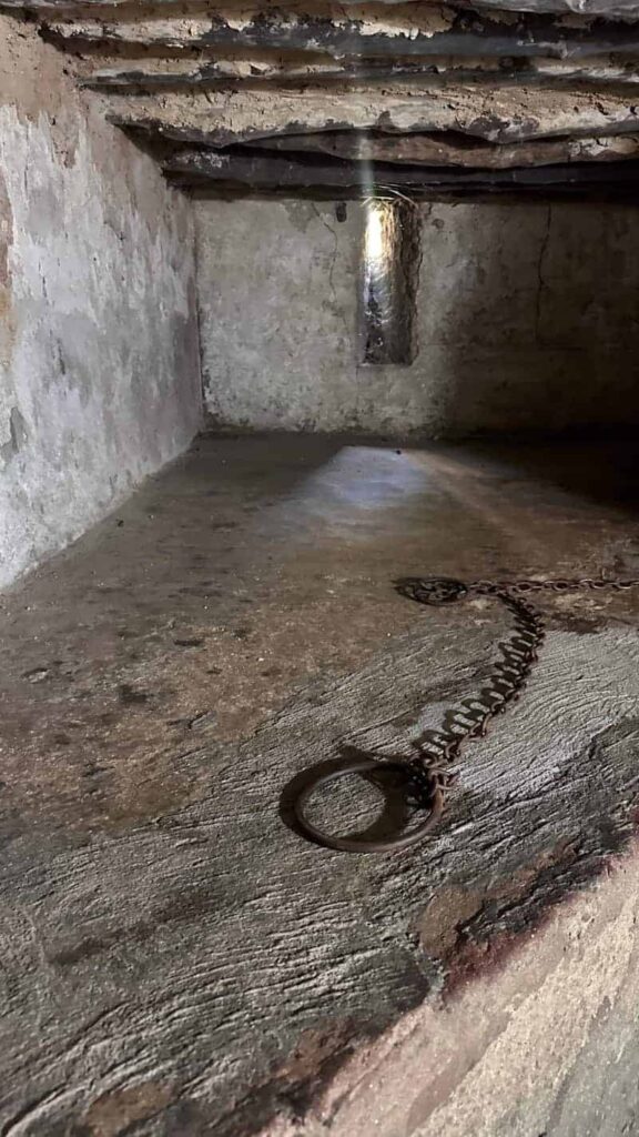 Co zobaczyć na Zanzibarze