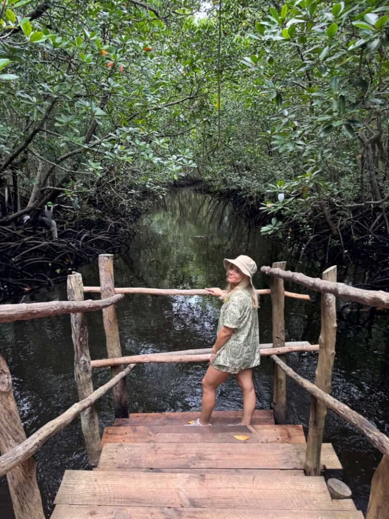 Jozani Forest