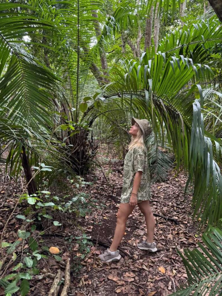 Jozani Forest Zanzibar