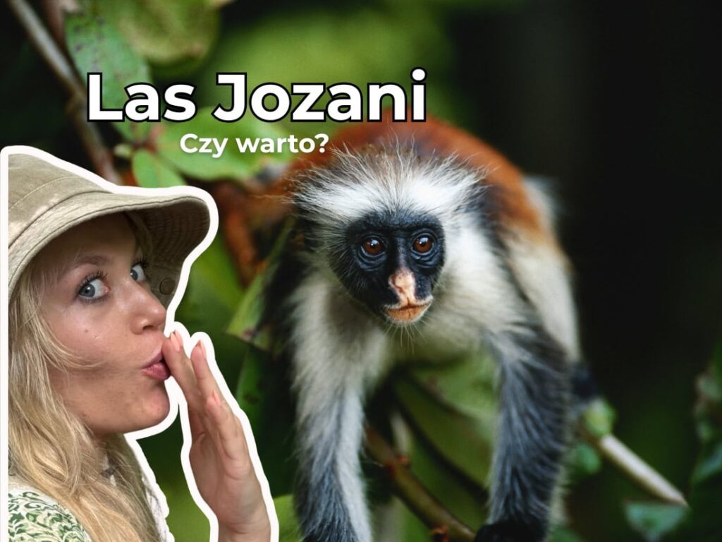 Las Jozani na Zanzibarze