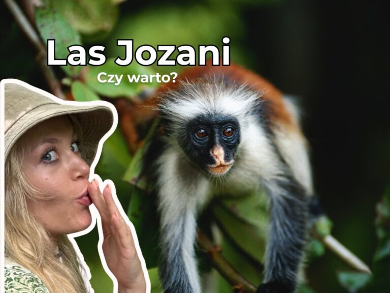 Las Jozani na Zanzibarze