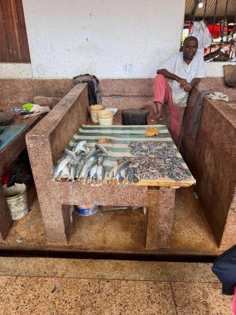 Targ Stone Town