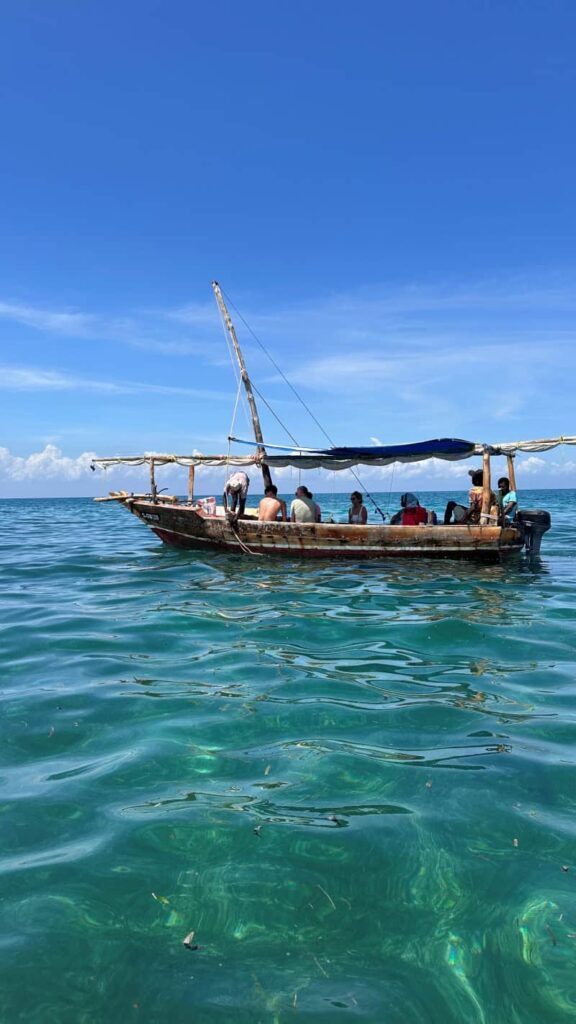 Zanzibar Blue Safari
