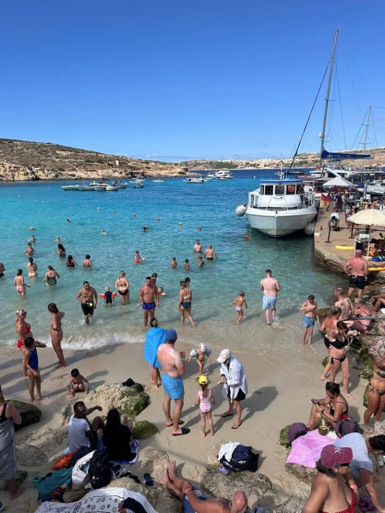 Malta Laguna