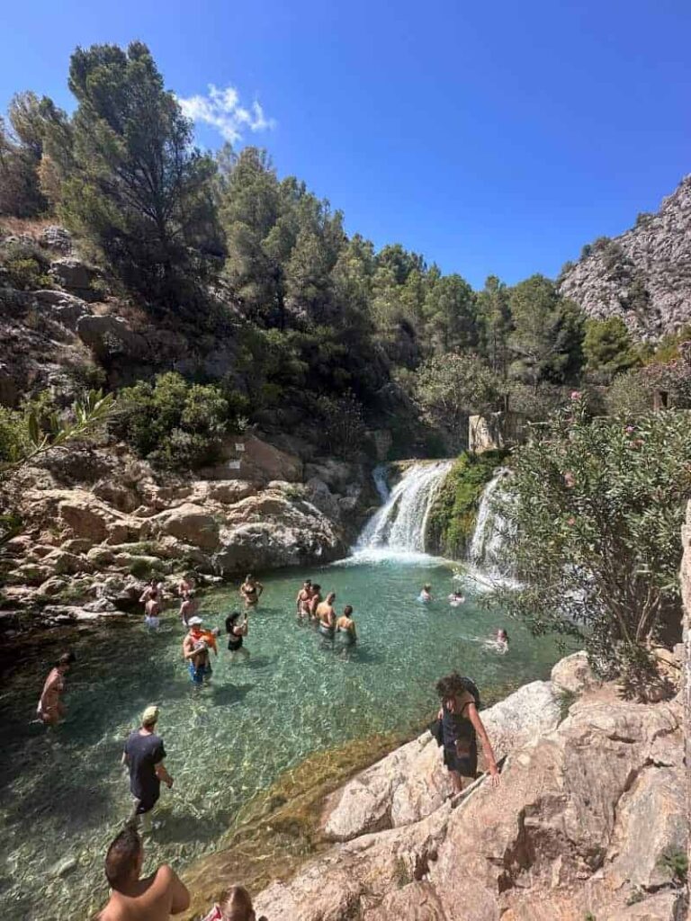 Algar