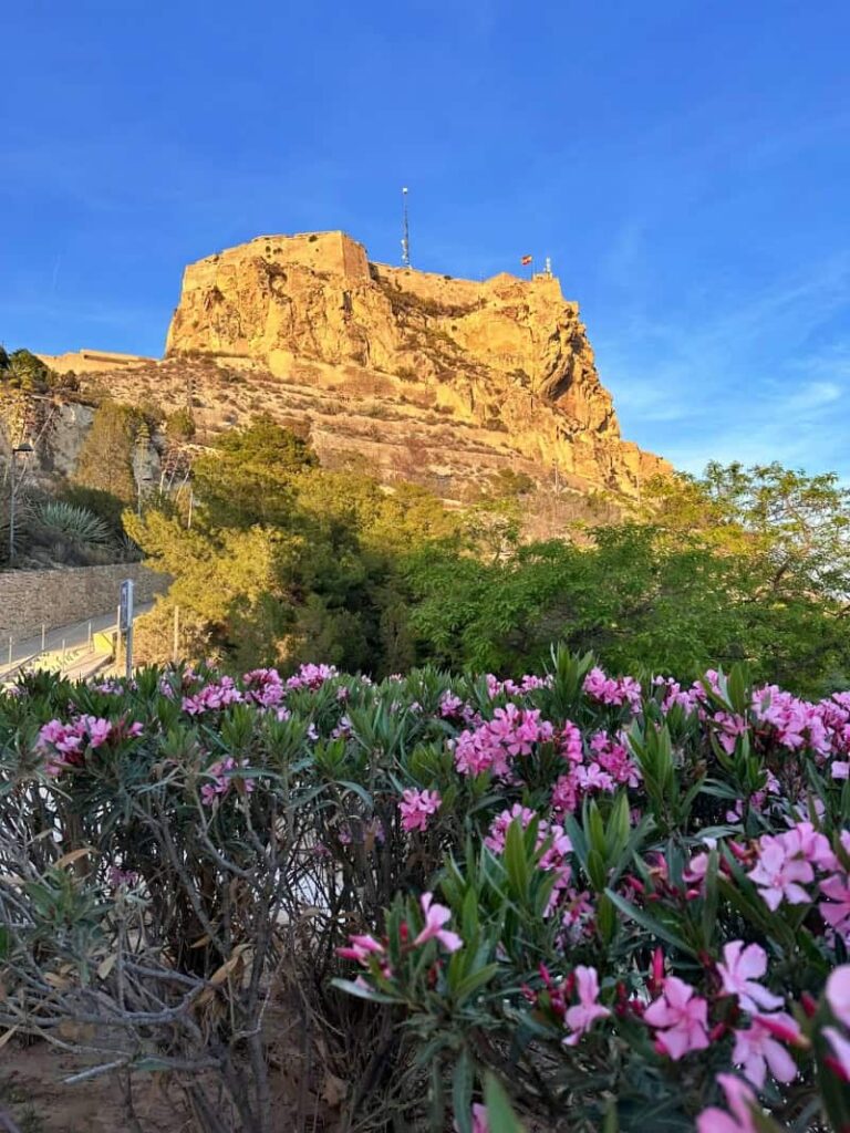 Alicante