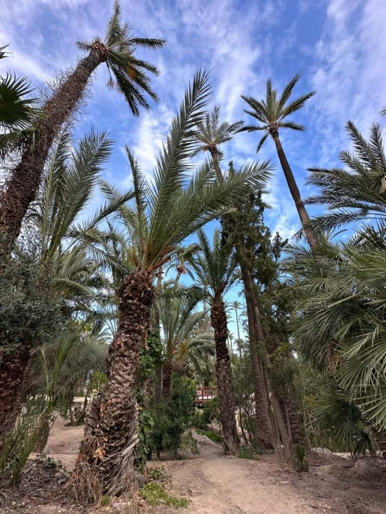 Alicante park