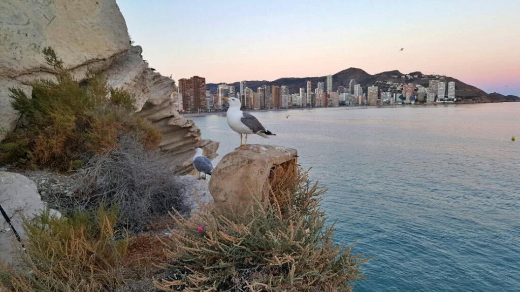 Benidorm