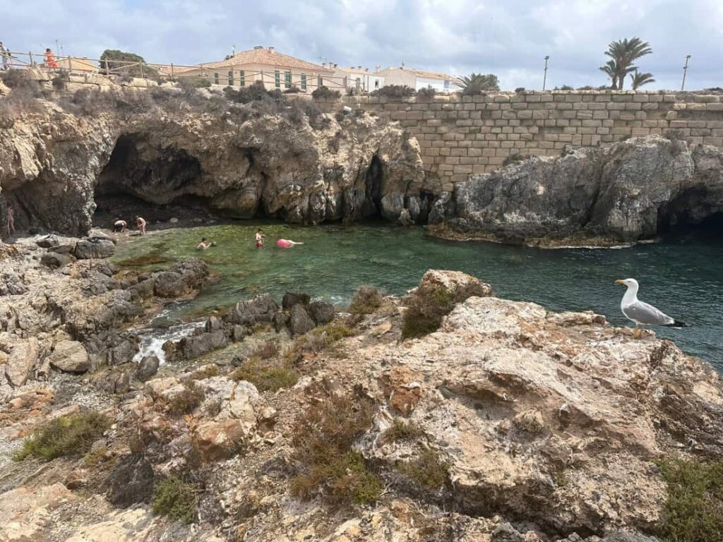 Wyspa Tabarca