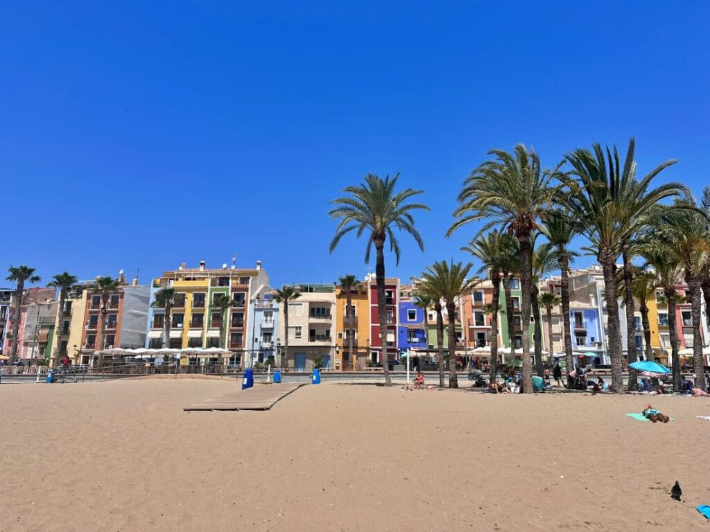wycieczka z Alicante