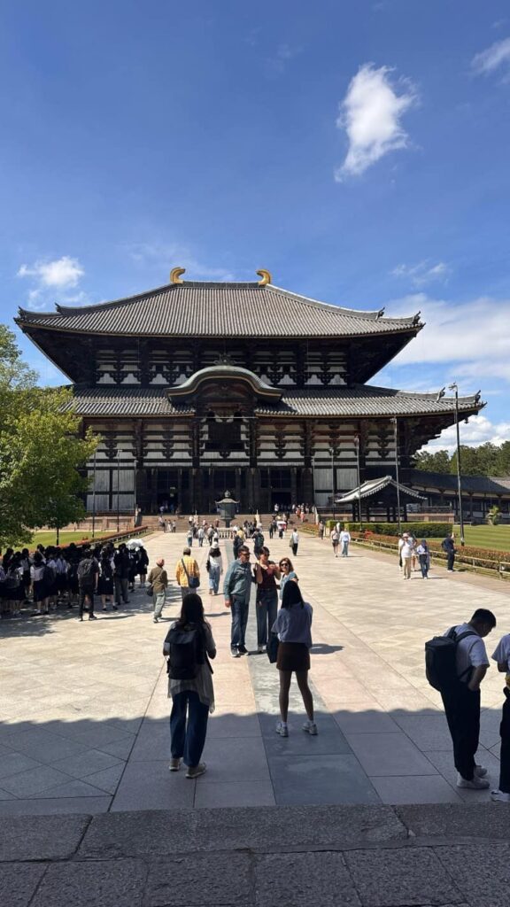 nara budda