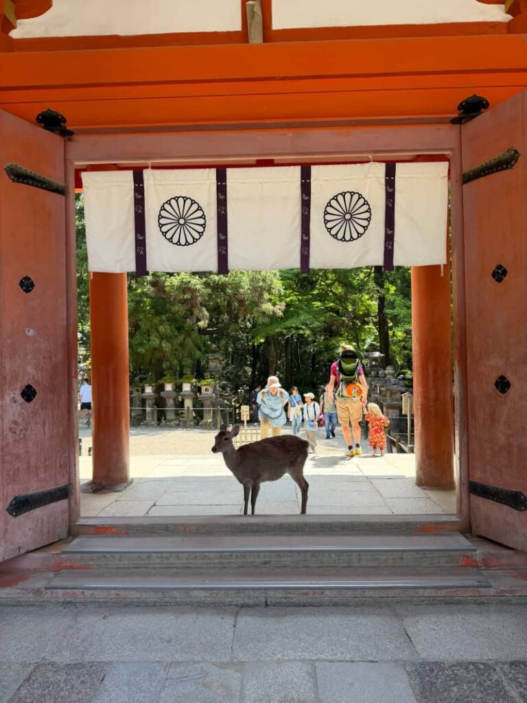 nara szinto