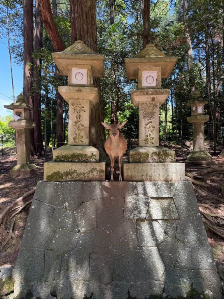 nara