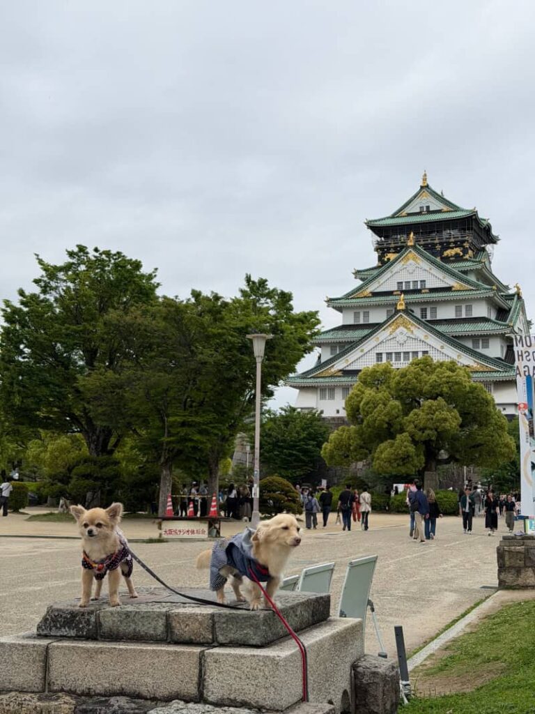 Osaka Zamek