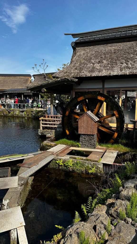 Japonia